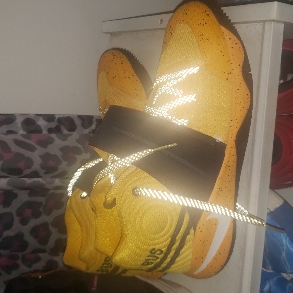 Kylie school bus limited editions